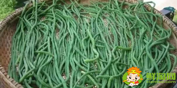 怎樣曬干豆角不發黃,干豆角怎么曬不變色