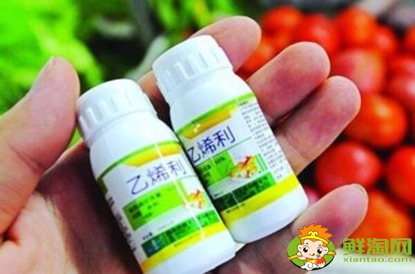 青皮核桃怎么吃，核桃去青皮用什么藥