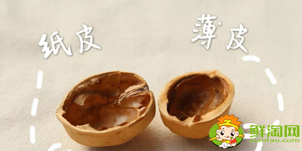 薄皮核桃和厚皮核桃哪個好，薄皮核桃和紙皮核桃有什么區(qū)別