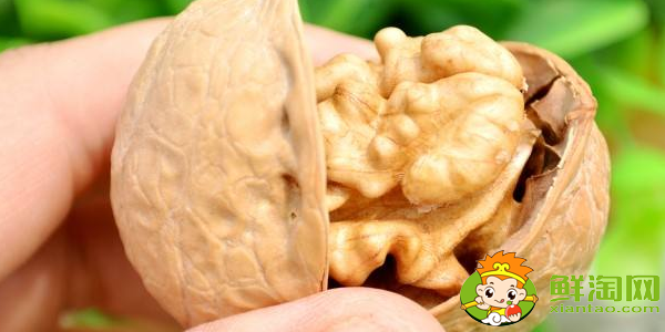 紙皮核桃哪個(gè)牌子好,紙皮核桃是漂白過的嗎