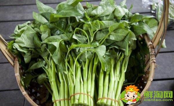 青菜有農藥用什么水洗，什么樣的青菜農藥最多的