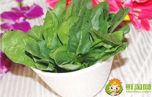菠菜什么季節吃，菠菜可不可以生吃