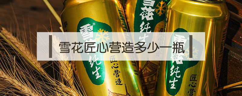 雪花匠心營造多少一瓶