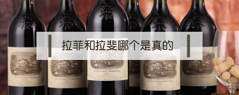 拉菲和拉斐哪個是真的