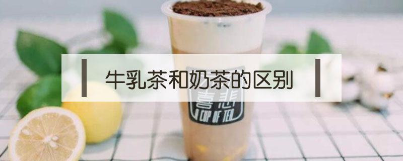 牛乳茶和奶茶的區(qū)別
