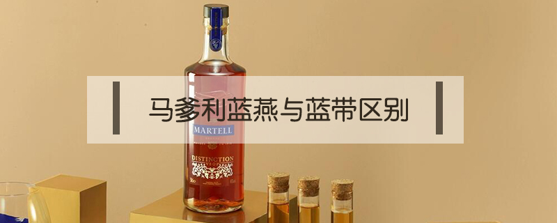 馬爹利藍燕與藍帶區別