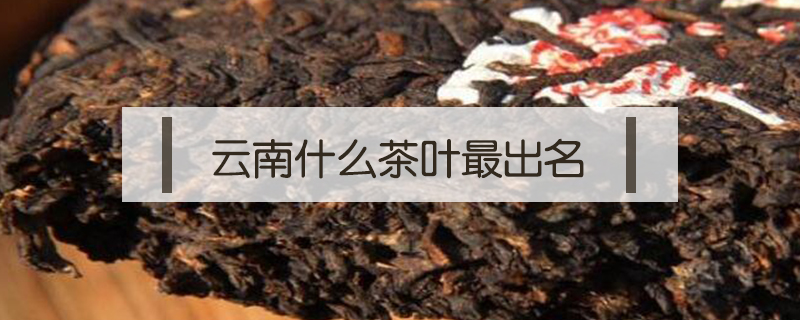 云南什么茶葉最出名