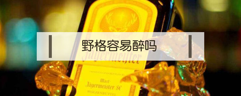 野格容易醉嗎