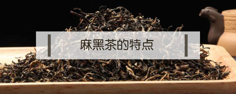 麻黑茶的特點