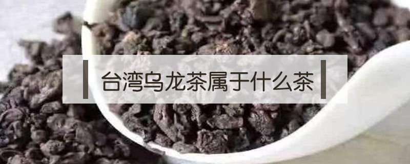 臺灣烏龍茶屬于什么茶