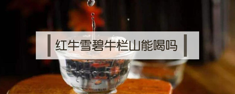 紅牛雪碧牛欄山能喝嗎