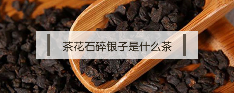 茶花石碎銀子是什么茶