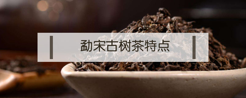 勐宋古樹茶特點