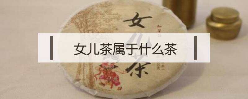 女兒茶屬于什么茶