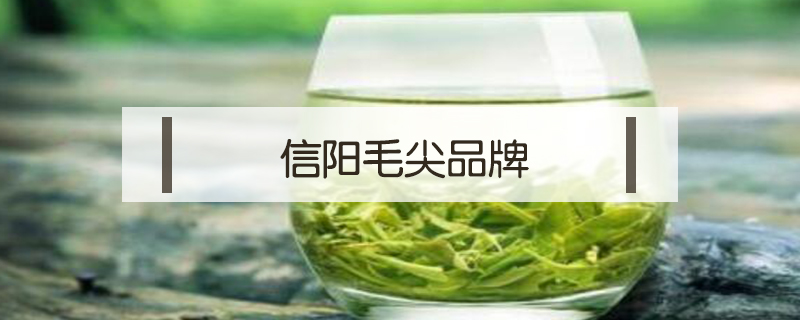 信陽毛尖品牌