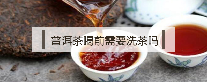 普洱茶喝前需要洗茶嗎