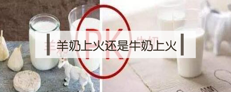 羊奶上火還是牛奶上火