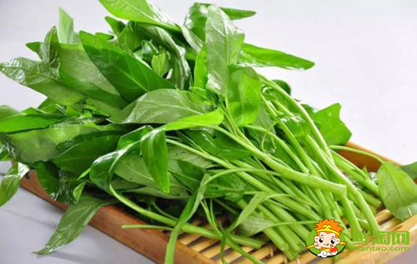 空心菜葉子可以吃嗎,空心菜怎么炒不會變黑