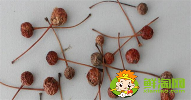 貼梗海棠的果實是什么果，貼梗海棠果實核是什么樣