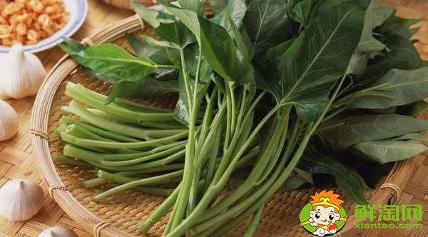 空心菜要怎么挑洗,長的空心菜怎么處理