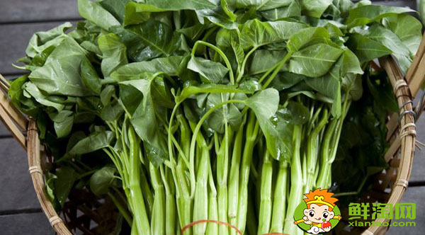 空心菜要怎么挑洗，長的空心菜怎么處理