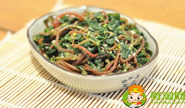 馬齒莧為什么叫長壽菜,黑色長壽菜就是馬齒莧嗎