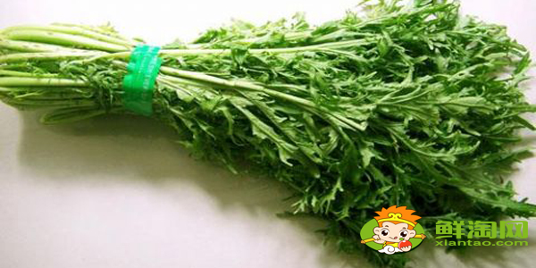 雪里蕻菜長什么樣，雪里紅和雪里蕻的區(qū)別