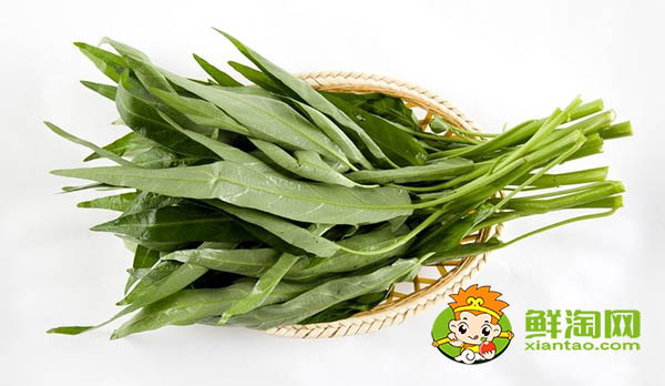 蕹菜又名什么,水雍菜和空心菜的區(qū)別