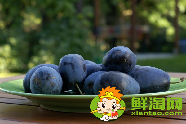 陜西黑布李味道如何，陜西黑布林和四川黑布林的區(qū)別