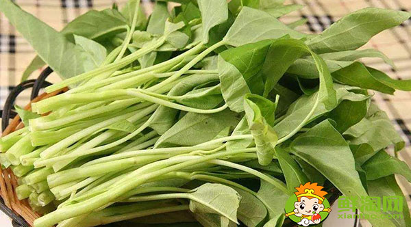 空心菜怎么剝好看又好吃，空心菜怎么煮才能去掉草酸