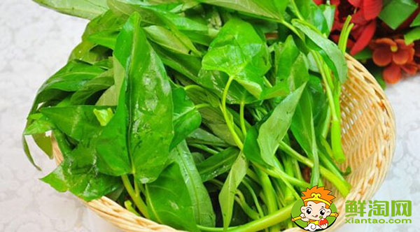 空心菜怎么剝好看又好吃，空心菜怎么煮才能去掉草酸