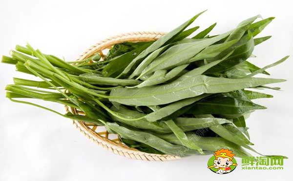 空心菜嫩的怎么挑,泰國竹葉空心菜特點