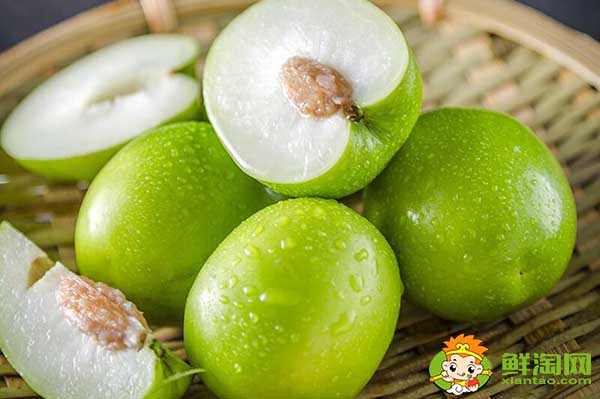 青棗適合什么地方種植，青棗產(chǎn)地主要在哪個省