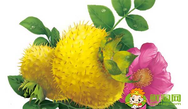 野生刺梨泡酒怎么泡好吃,刺梨泡酒怎么泡要加糖嗎
