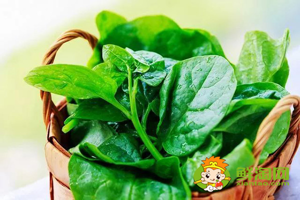 種植木耳菜需要搭架子嗎,木耳菜架子搭多高
