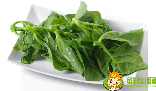 木耳菜什么時候可以吃，木耳菜能吃到什么時候