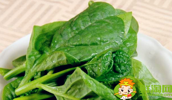 木耳菜什么時候可以吃，木耳菜能吃到什么時候