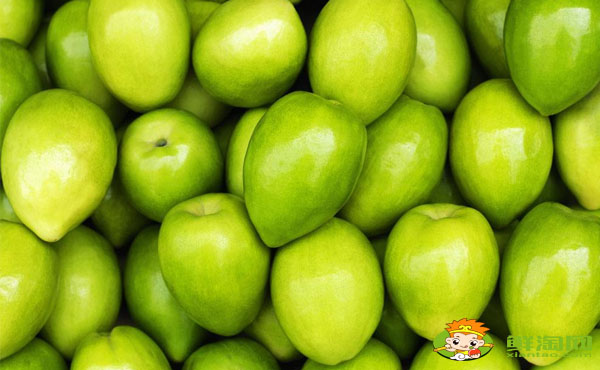 臺(tái)灣青棗有幾個(gè)品種,臺(tái)灣青棗哪個(gè)品種最好