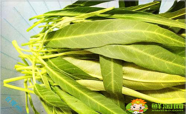 空心菜葉子要不要去掉,空心菜葉子發(fā)黃能吃嗎