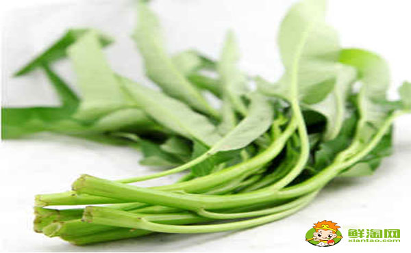 空心菜葉子要不要去掉,空心菜葉子發(fā)黃能吃嗎
