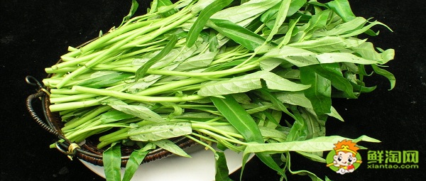 藤菜有哪幾種，藤菜和空心菜有什么區(qū)別