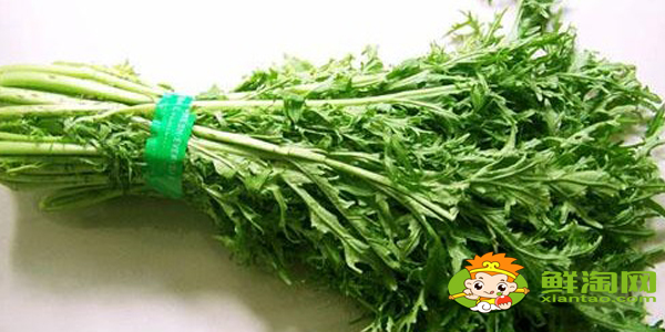 東北雪里紅是什么菜，雪里紅有幾個品種圖解