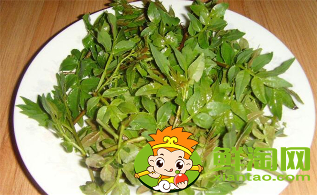 花椒葉什么時(shí)候采摘最好，花椒葉怎么存放