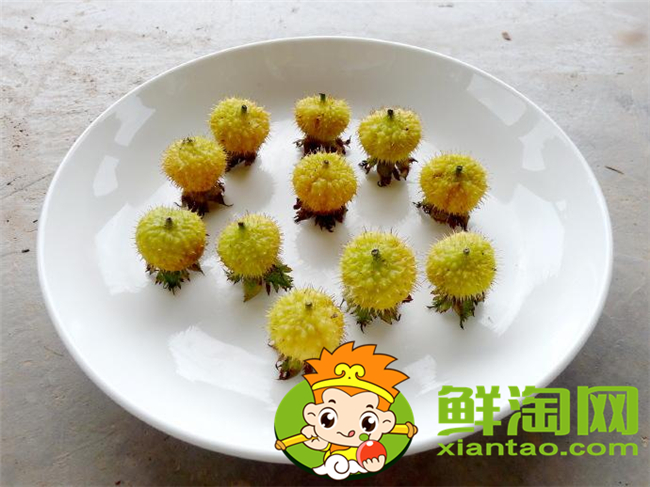 自己可以做刺梨汁嗎,刺梨汁什么時(shí)候喝