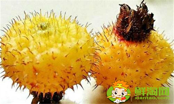 可以用新鮮刺梨泡水喝嗎,刺梨泡水的制作方法