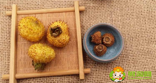 干刺梨能保存多久，野生干刺梨過期了還能怎樣