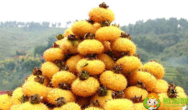 刺梨泡水可以天天喝嗎，刺梨是怎樣長(zhǎng)時(shí)間保存