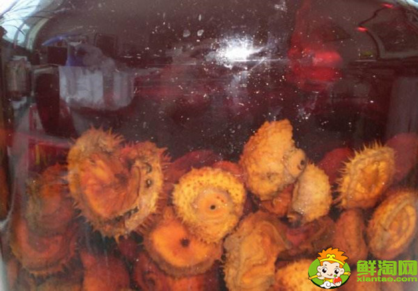 刺梨泡酒不破開可以嗎，刺梨和什么泡酒最好