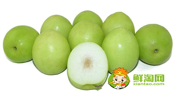 第三代臺灣大青棗品種有那些,臺灣大青棗品種圖片