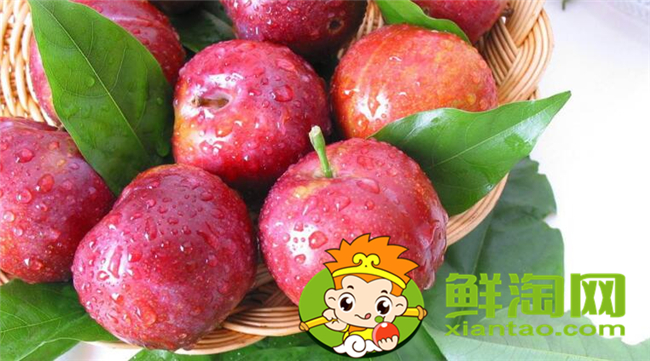 黑布林有紅肉嗎，黑布林和紅布林哪個甜